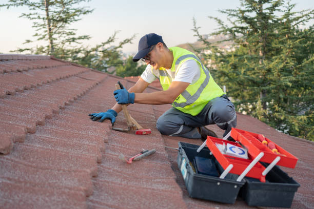 Roof Gutter Cleaning in Cathedral City, CA